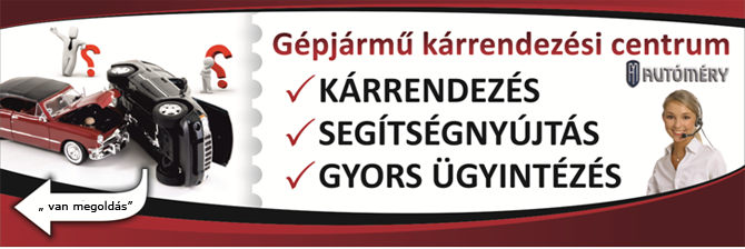 Kárfelvétel, kárrendezés